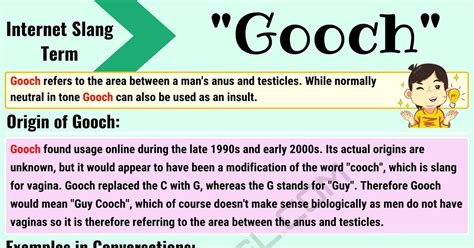 what is the gooch on the human body|Top 48 Slang For Perineum – Meaning & Usage